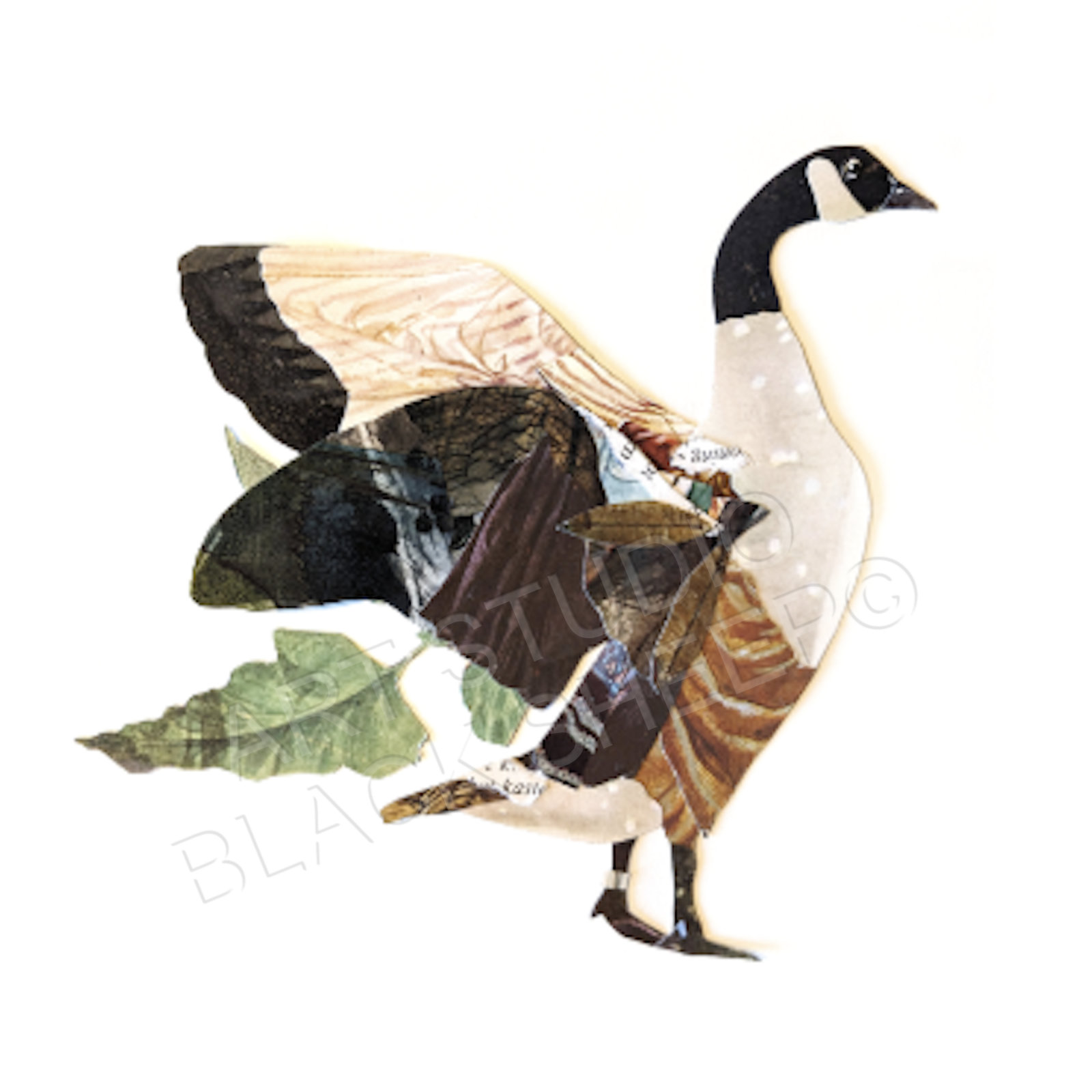 Artwork 16